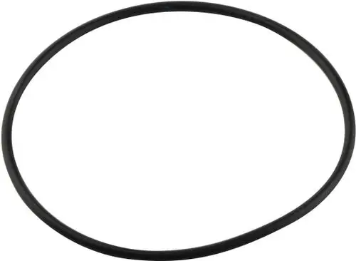 Schwarzer O-Ring, kreisförmig, in einfacher Ausführung. Produkt von Bosch, geeignet für verschiedene Anwendungen, die eine Dichtung erfordern.